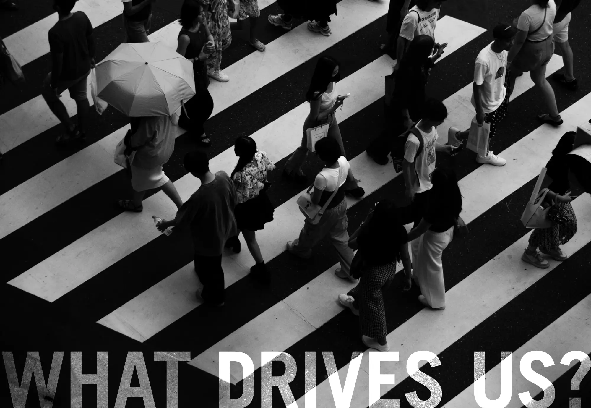 what-drives-us-3