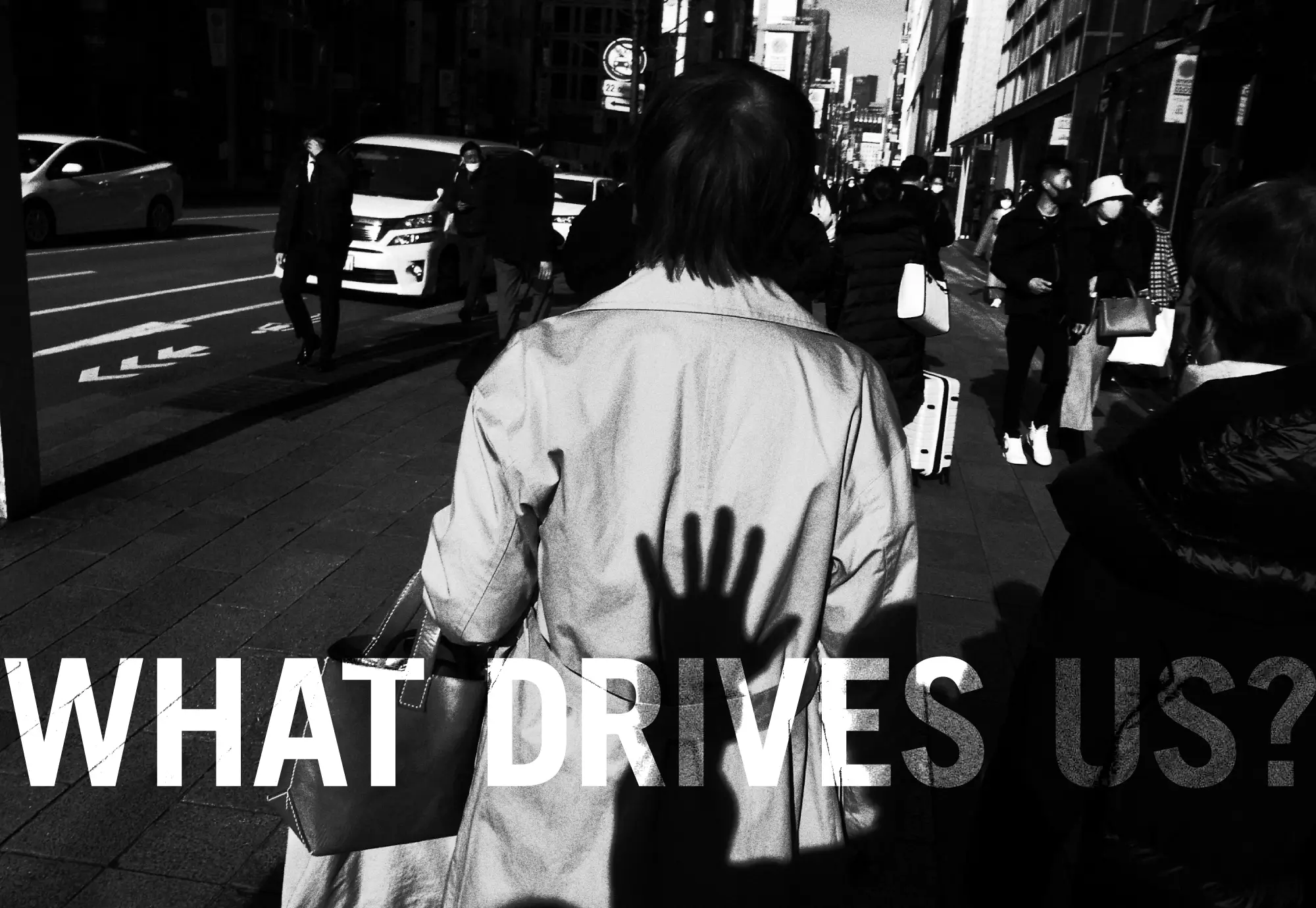 what-drives-us-5